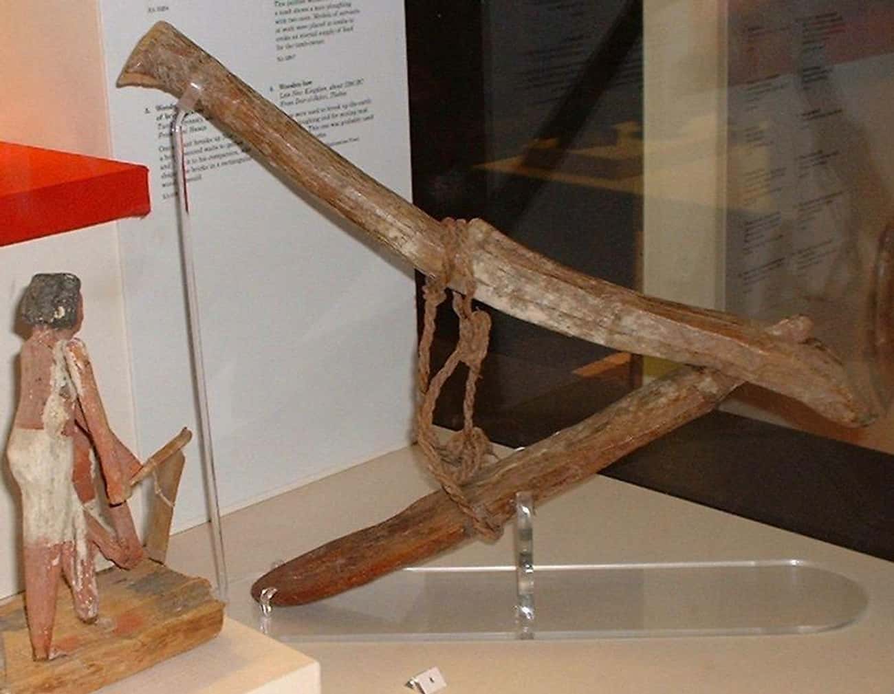 Ancient Egyptian Farming Tool