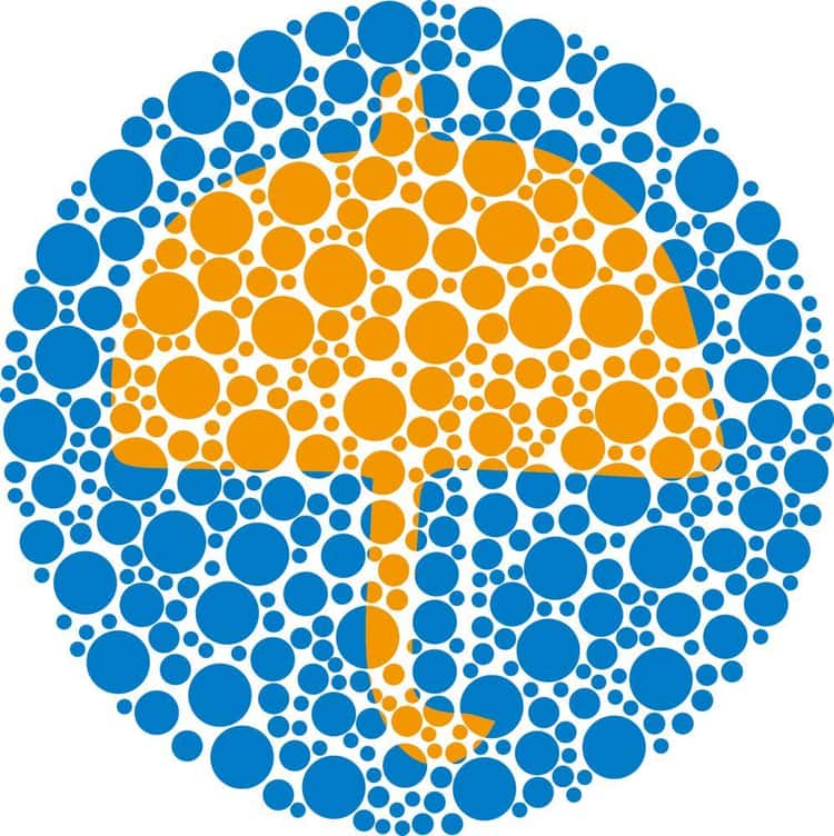 Color Blind Test | Do You Have Colorblindness?