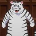 Tama the White Tiger on Random Greatest Tiger Characters