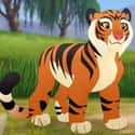 Varya on Random Greatest Tiger Characters