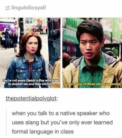 Image: u/ExpertAccident / Reddit