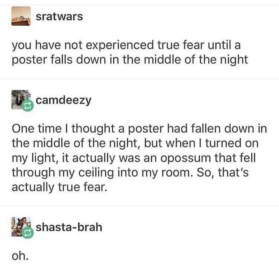 Image: u/thewrongun / Reddit