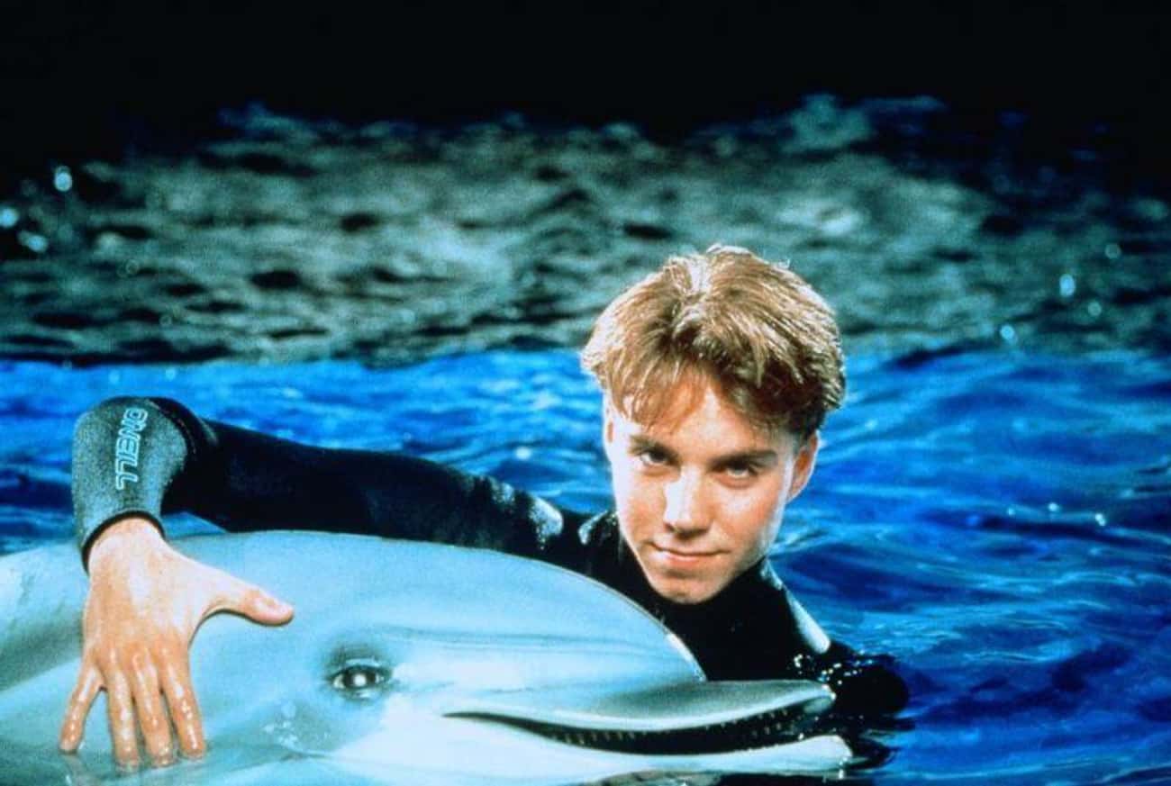 Contrary To Popular Belief, Darwin The Dolphin Was An Animatronic Creation