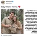 Bindi And Her Husband Chandler Announce On August 11, 2020 That They Are Expecting on Random Photos Of Bindi Irwin That Would Make Her Father, Steve Irwin Proud