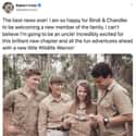 He Celebrates Bindi's 2020 Pregnancy Announcement Of A New Family Member on Random Photos Of Robert Irwin That Would Make His Father, Steven Irwin, Proud