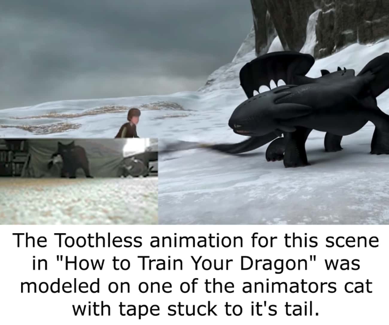 Animation For The Scene With Toothless Having A Problem With His Tail Is Modeled After One Of The Animators Cats