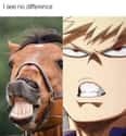 Identical Twins on Random Hilarious Memes That Make Fun Of My Hero Academia Characters