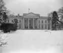 Andrew Jackson Once Hosted A Snowball Fight Inside The White House on Random Things You Didn't Know About the White House