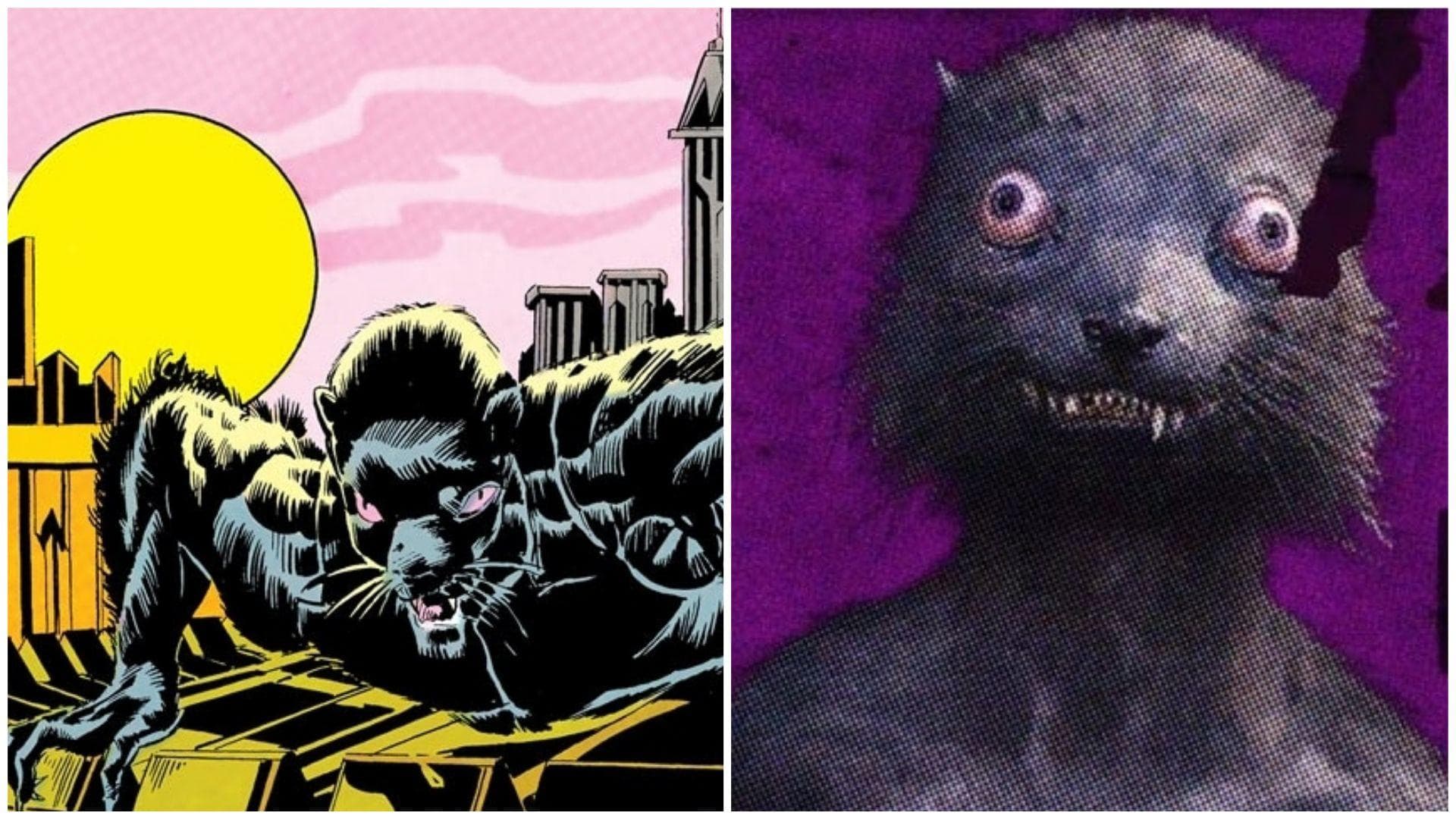 Every DC Character In James Gunn's 'The Suicide Squad'