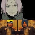 Sure... on Random Funny Memes About Sakura Being Useless in Naruto