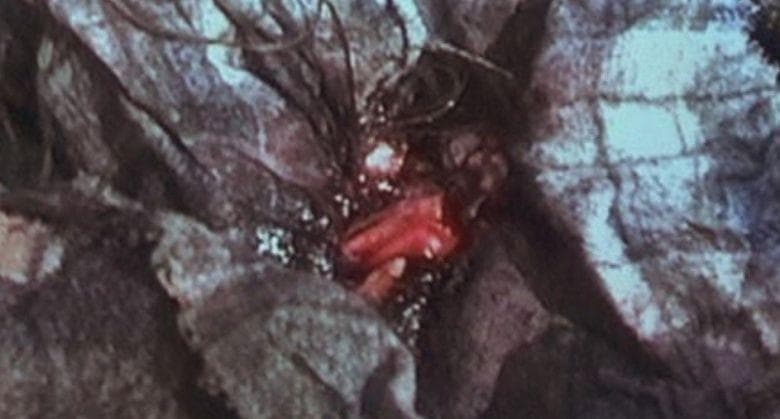 blair witch real story