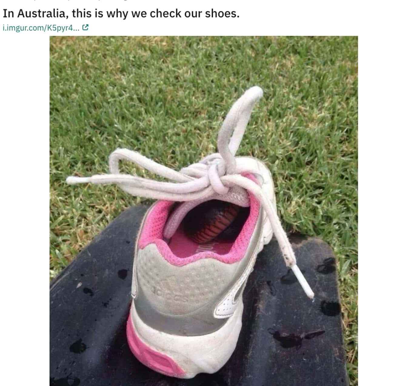 Always Check Your Shoes