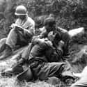 Soldiers In The Korean War (August 28, 1950) on Random Fascinating Historical Photos We Wish We Learned About In School