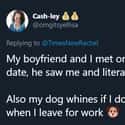 A Necessary Farewell Gesture For This Woman's Dog on Random People Tweet Their Favorite Thing About Their Loved Ones