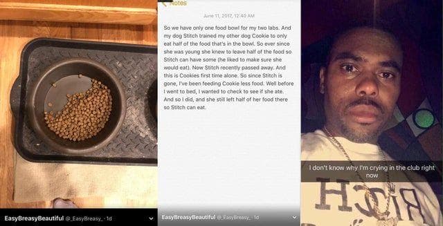 Wholesome Pictures We Re Unashamed To Say Made Us Cry