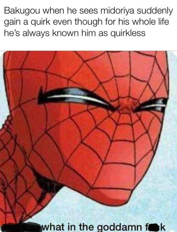 19 Hilarious Memes About Deku and Bakugo's Relationship