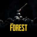 The Forest on Random Most Popular Horror Video Games Right Now