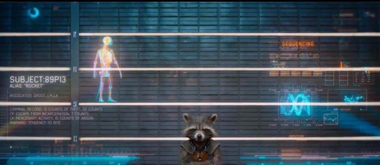 During the prison intake scene, Rocket has Groot and Lylla listed as his associates. Lylla is Rocket’s otter soulmate and wife.