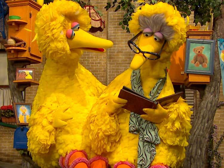 From Broadway to Big Bird: Behind the Scenes With Sesame Street's