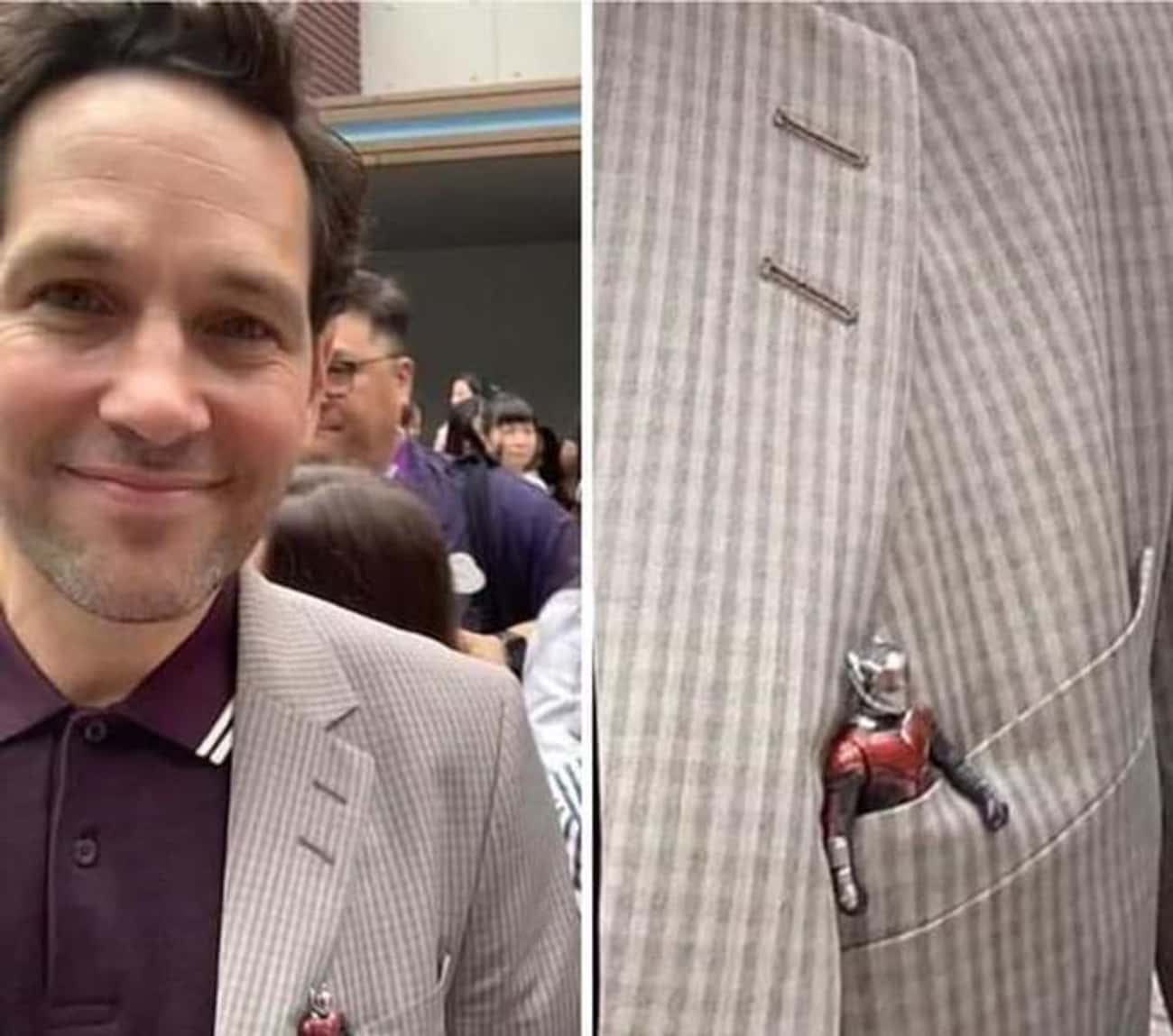 Paul Rudd Most Wholesome MCU Actor | FandomWire