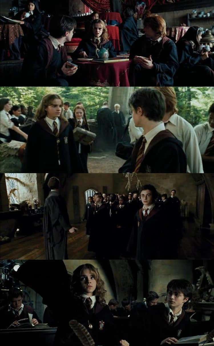 For Harry Potter and the Prisoner of Azkaban (2004), Alfonso