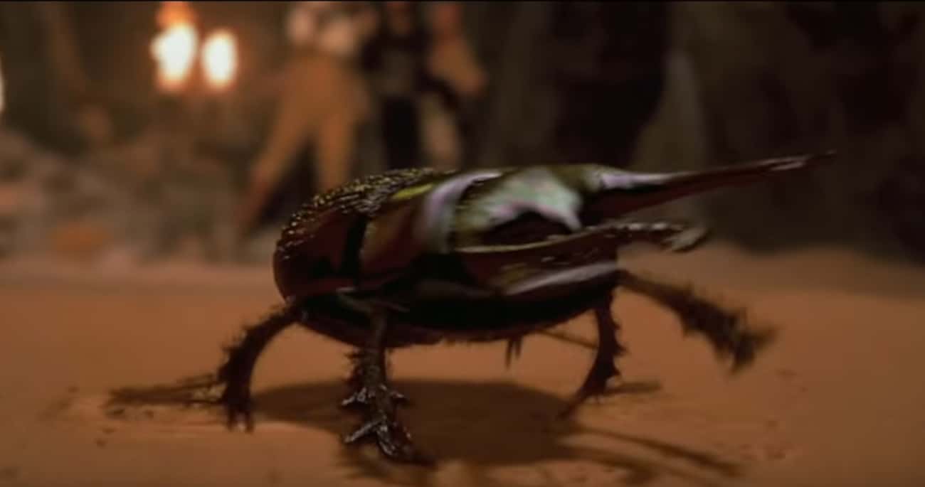 Scarabs Are Dangerous, Flesh-Eating Monsters