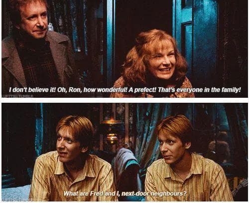 15 Fred And George Weasley Quips That Prove They're The Best Duo In ...