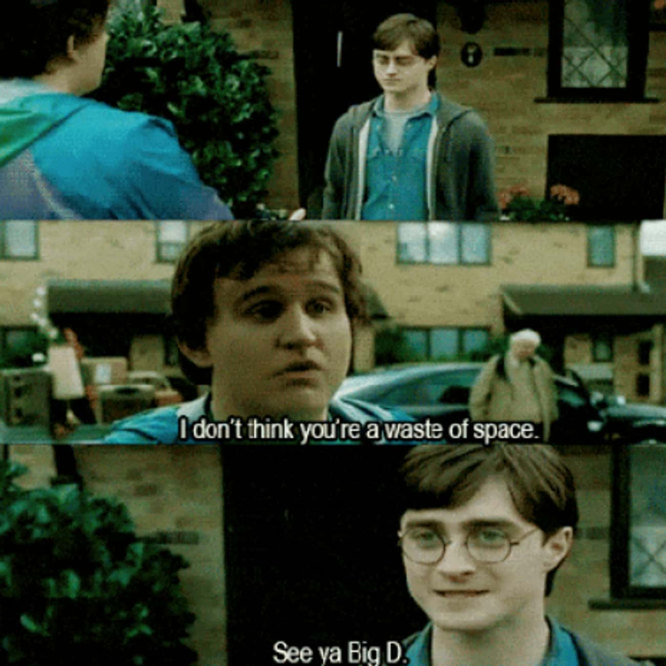 Dudley Tells Harry Potter He's Not A Waste Of Space (Deathly Hallows)
