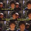 Ron Tells Harry Not To Go Back To That Mirror (Sorcerer's Stone) on Random Deleted Scenes From Harry Potter That Should Never Have Been Cut
