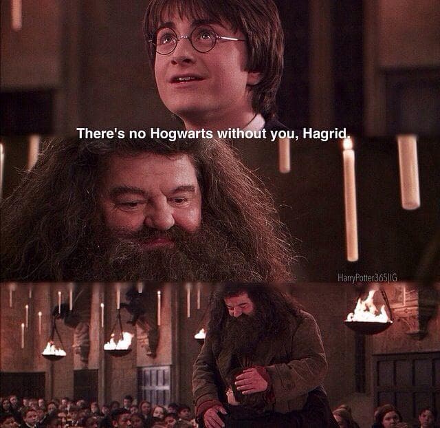 16 Hagrid Moments That Prove Why He's The Best Comfort Character