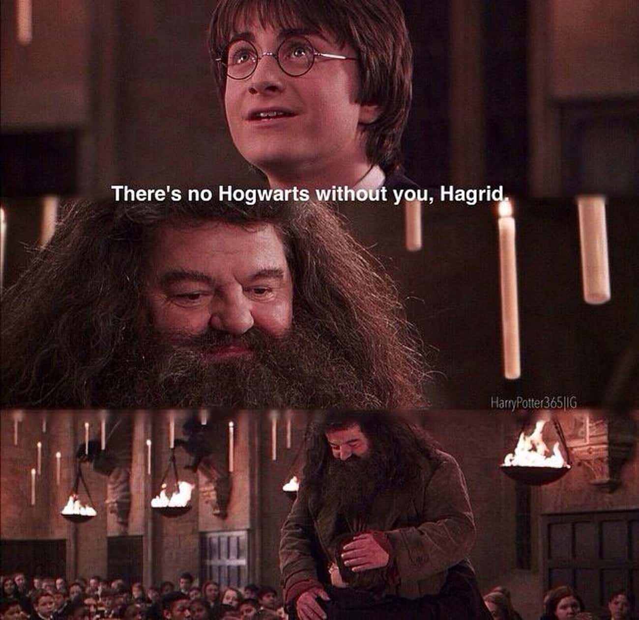 16 Hagrid Moments That Prove Why Hes The Best Comfort Character