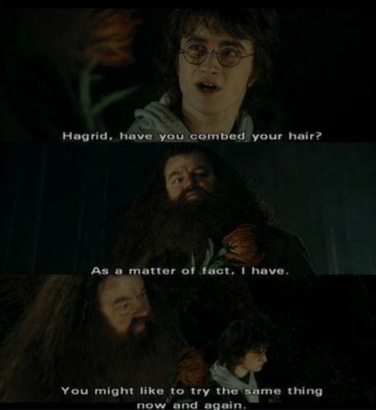 16 Hagrid Moments That Prove Why He's The Best Comfort Character