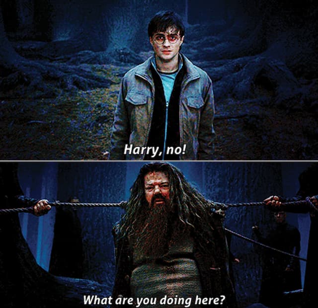 16 Hagrid Moments That Prove Why He's The Best Comfort Character