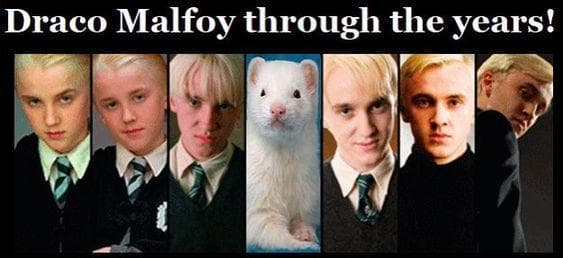 19 Draco Malfoy Memes That Father Will Be Hearing About