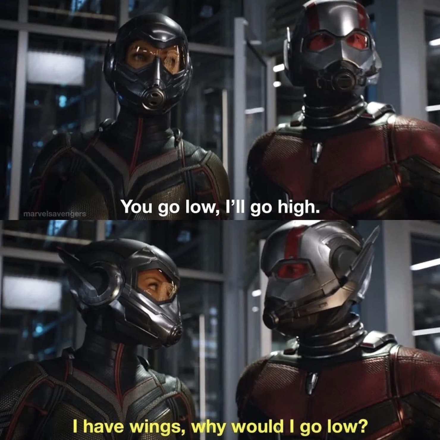 Photo: Ant-Man and the Wasp / Walt Disney Studios Motion Pictures