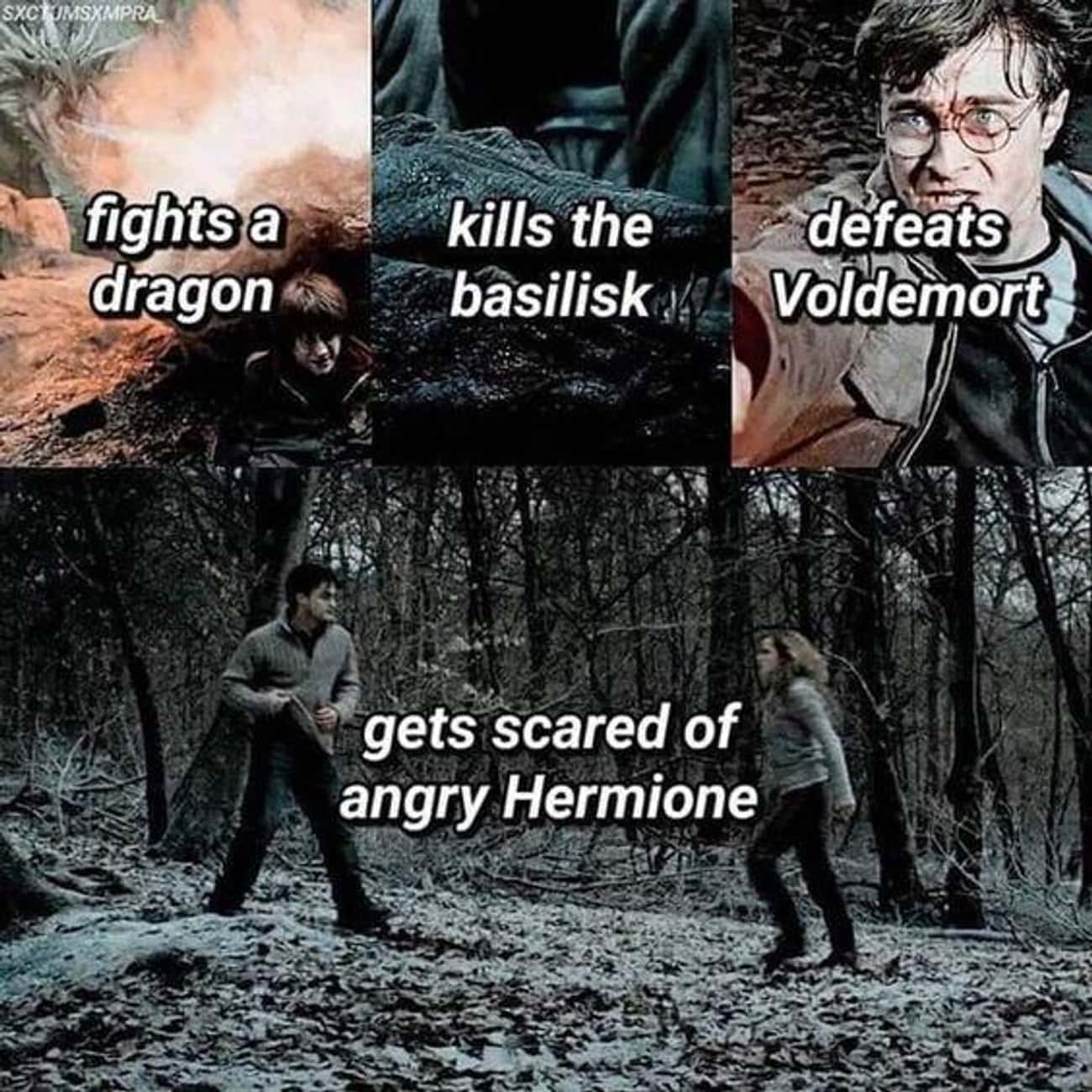 Who Wouldn't Be Scared Of Hermione?