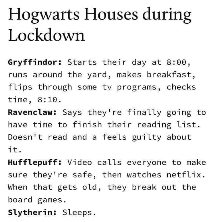 30 Hogwarts House Memes That The Sorting Hat Would Approve Of