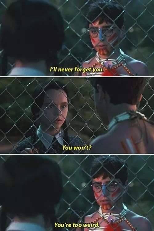 1002278821 photo u1?auto=format&fit=crop&fm=pjpg&w=375&q=60&dpr=1