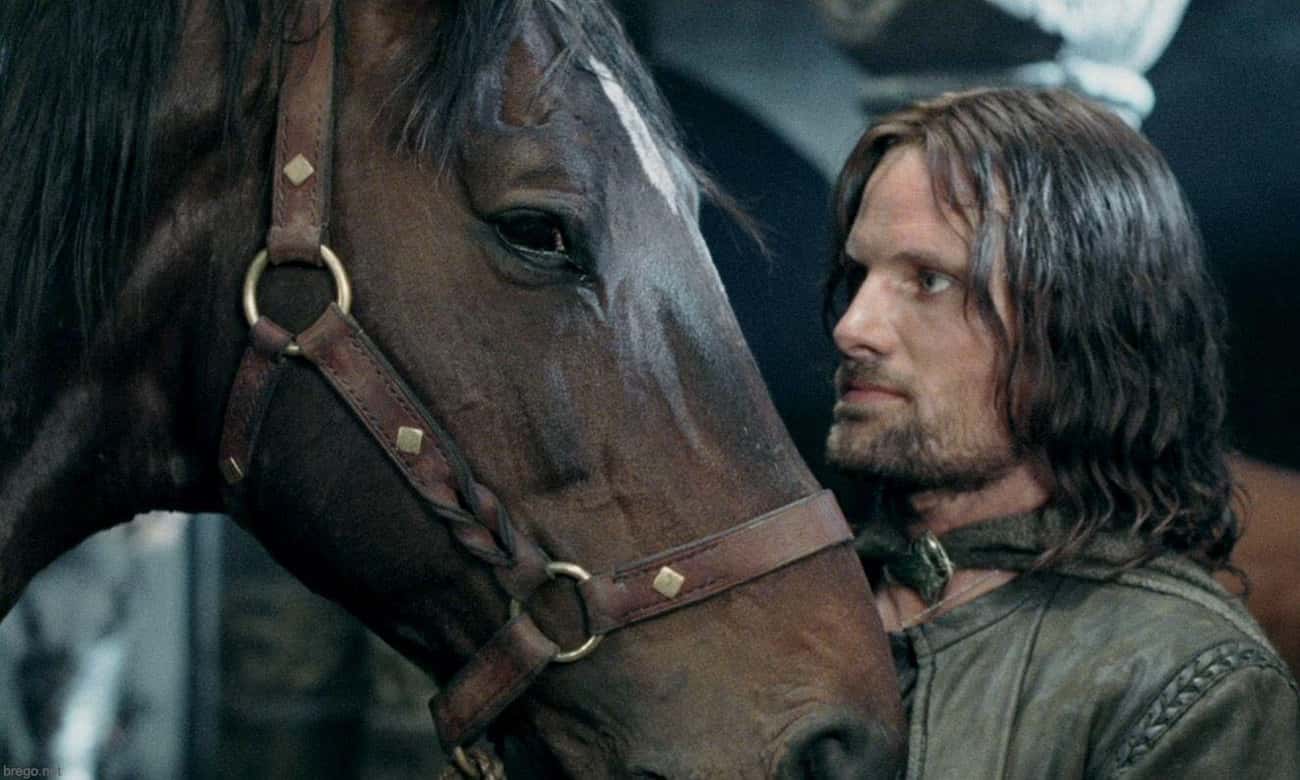 Viggo Mortensen Grew So Close To The Horses He Rode In The Films That He Bought Two Of Them