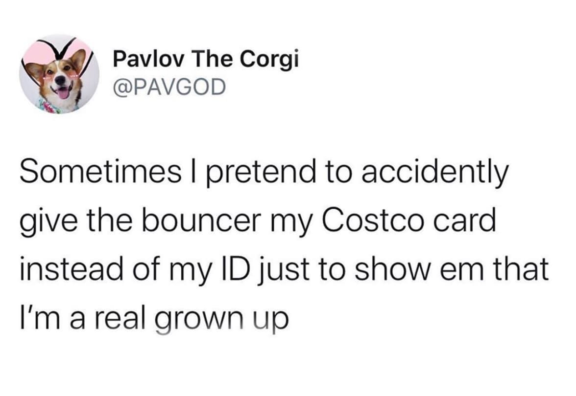 Costco Fake Id Meme