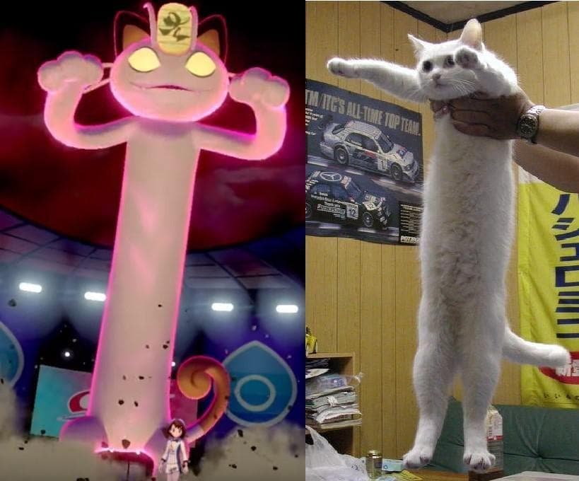 Memes That Make Fun Of Pokemon Sword And Shield