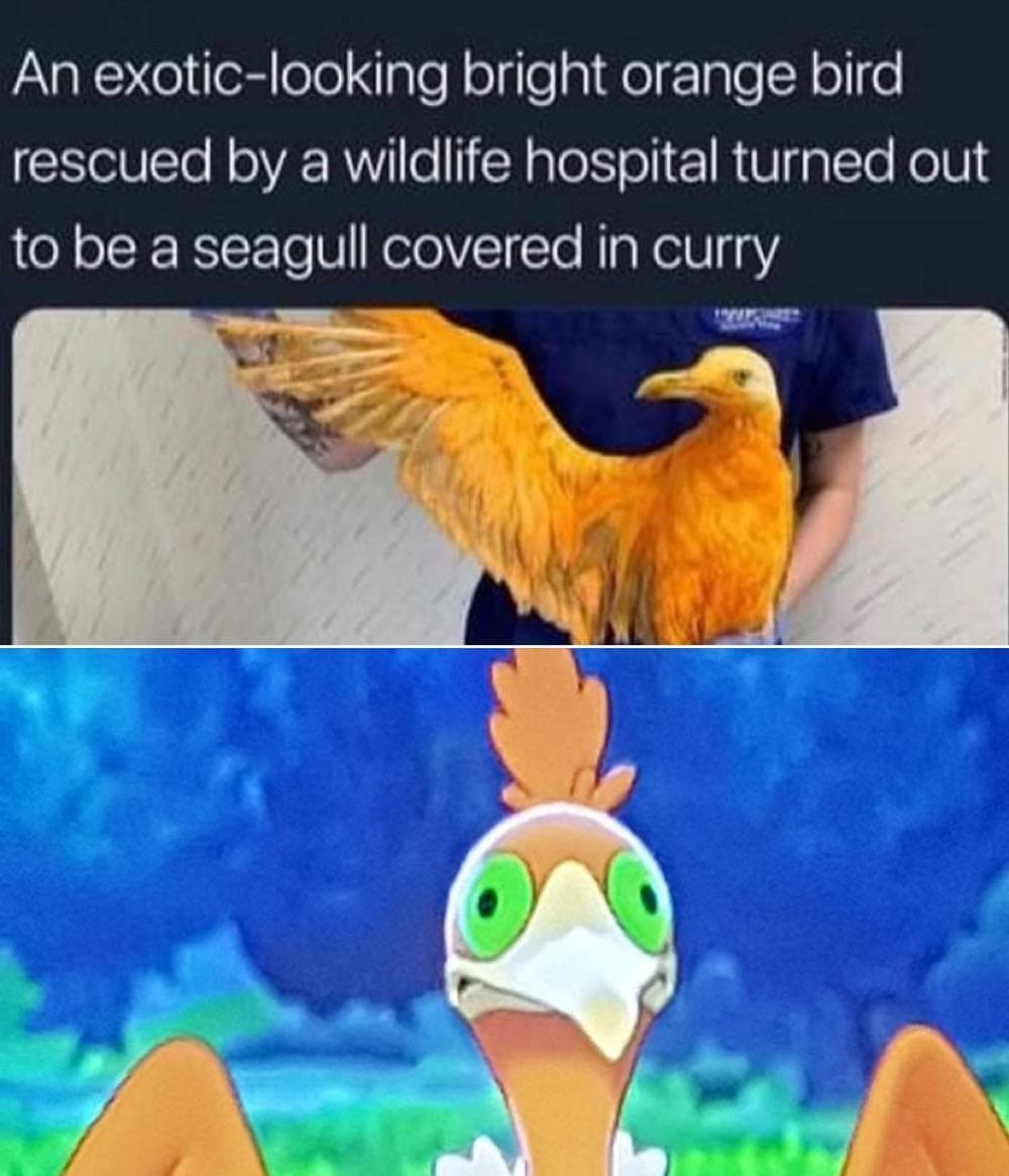 Memes That Make Fun Of Pokemon Sword And Shield