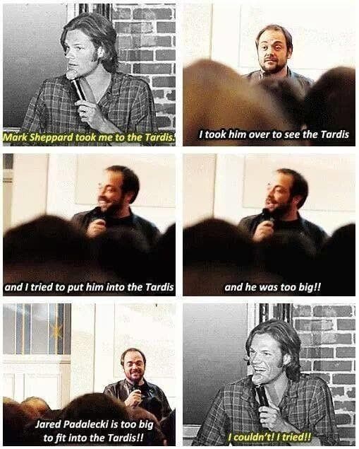 Shouldn't It Be Bigger On The Inside?