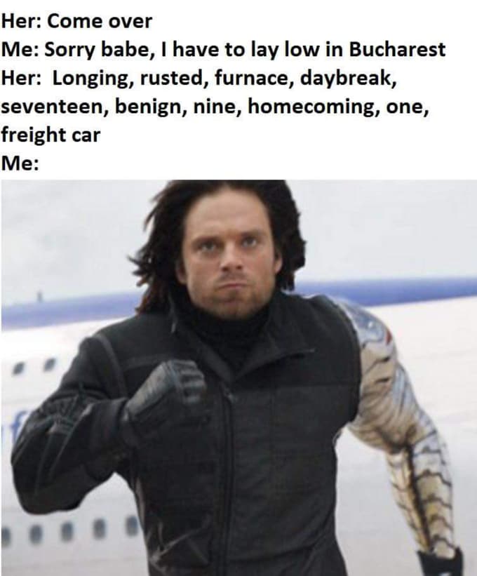 23 Funny Winter Soldier Memes That Would Make The Falcon Laugh
