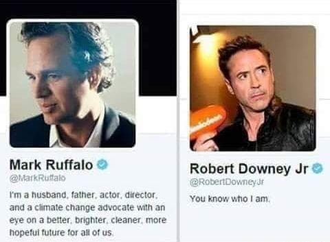 20 Robert Downey Jr. Memes That Prove He's Actually A Real Person