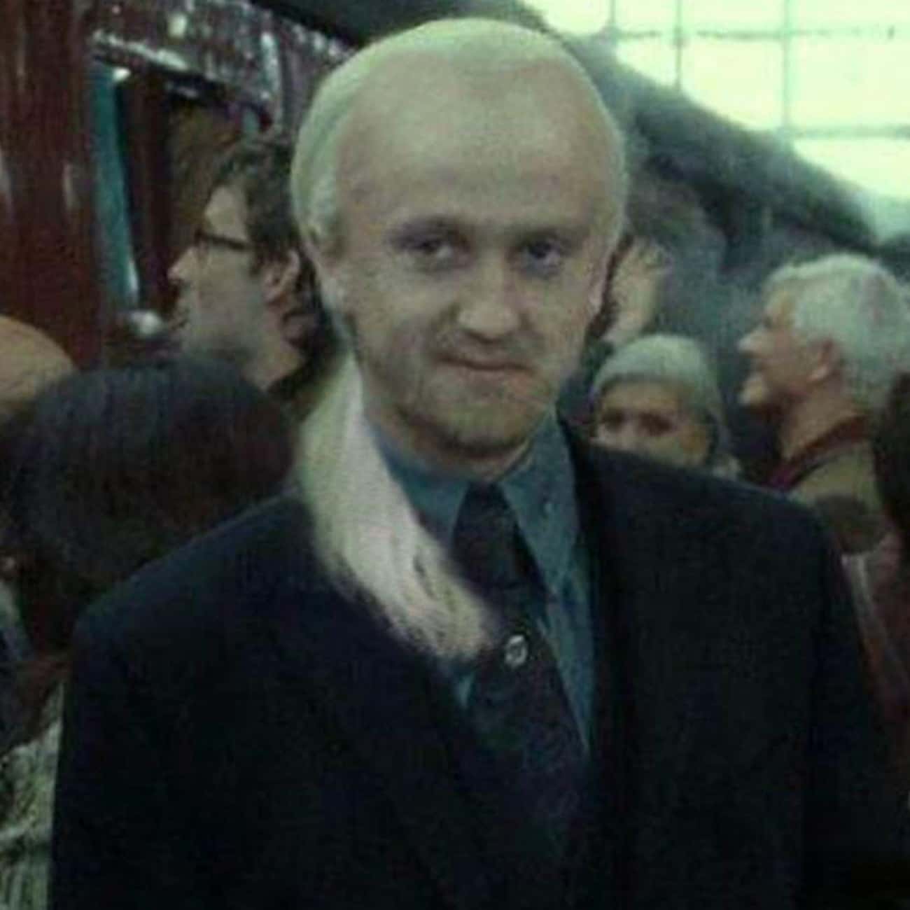 Adult Draco: Balding But With A Ponytail