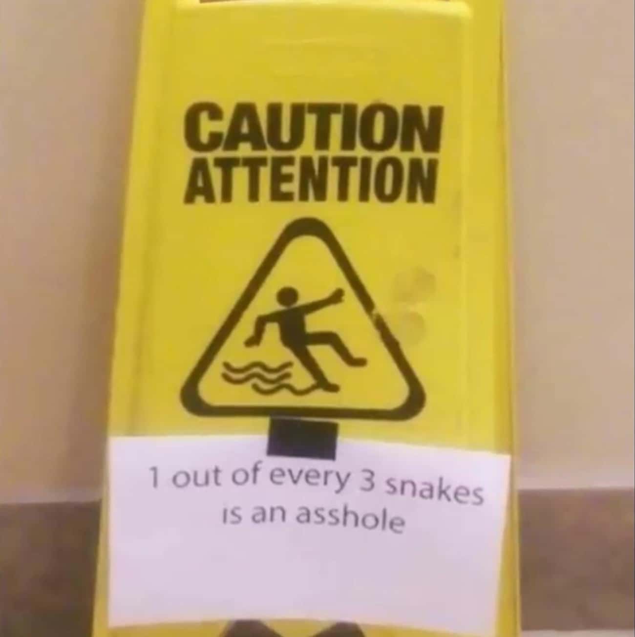 Every Three Snakes