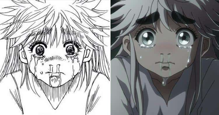 hxh manga vs anime