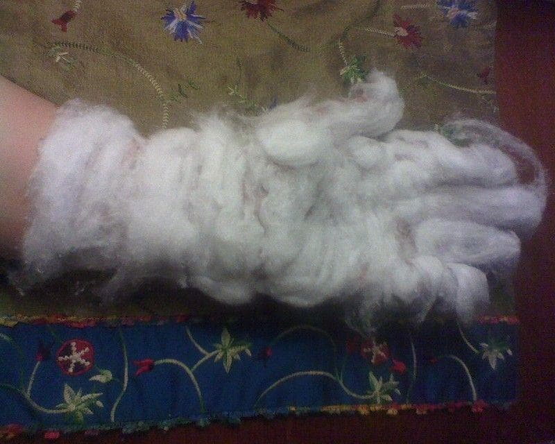 Fear of Cotton Balls Photos Sidonglobophobia Pictures