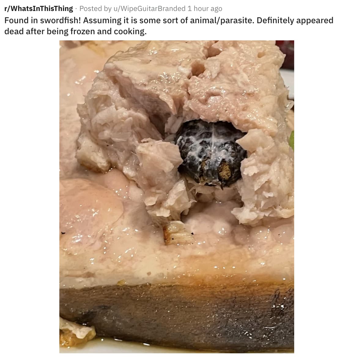 Terrifying Images Of Food That Made Us Lose Our Appetites